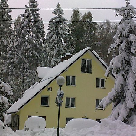 Apartamenty Grapa Szum Rzeki Parking Free 维斯拉 外观 照片