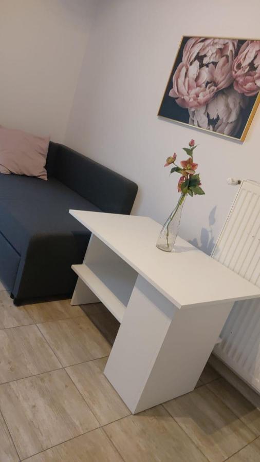 Apartamenty Grapa Szum Rzeki Parking Free 维斯拉 外观 照片