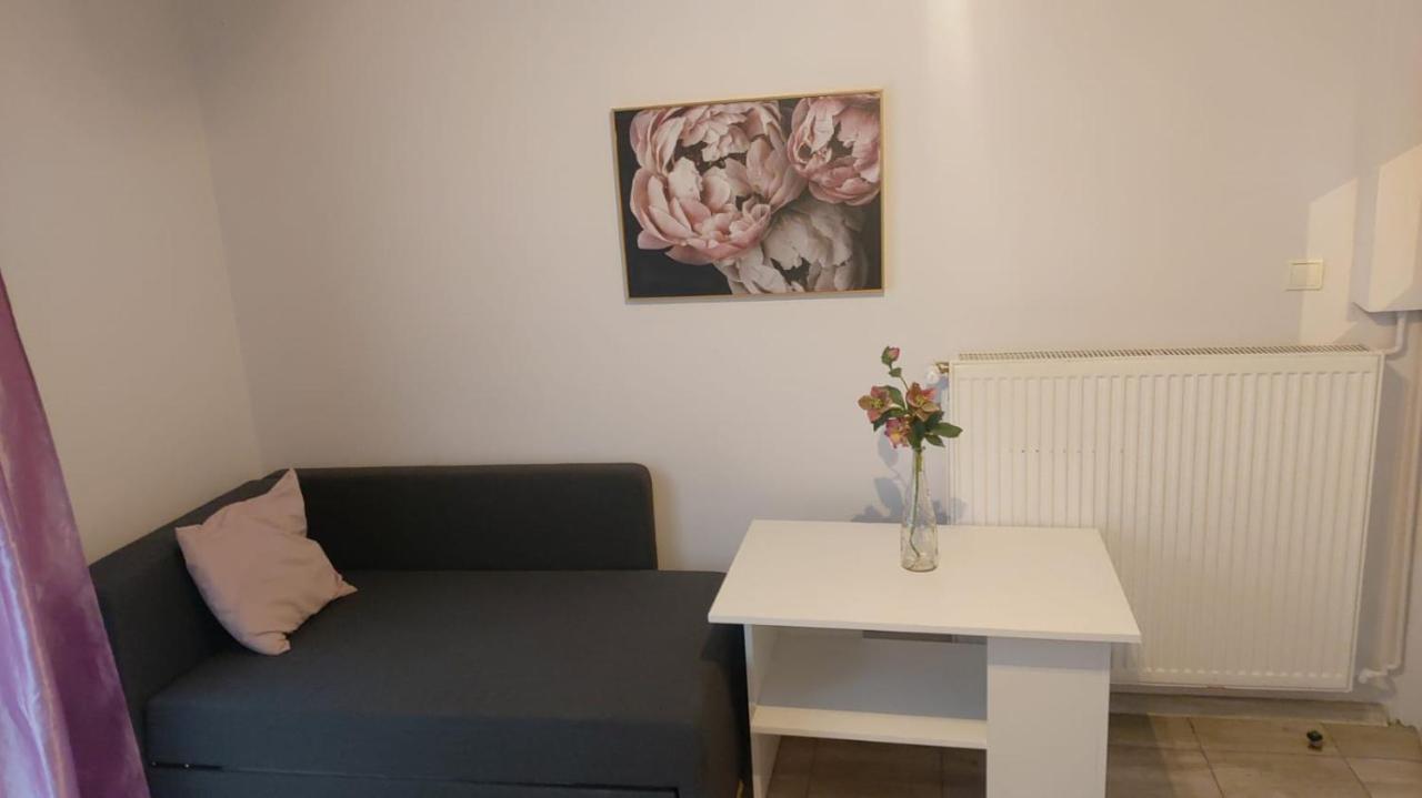Apartamenty Grapa Szum Rzeki Parking Free 维斯拉 外观 照片