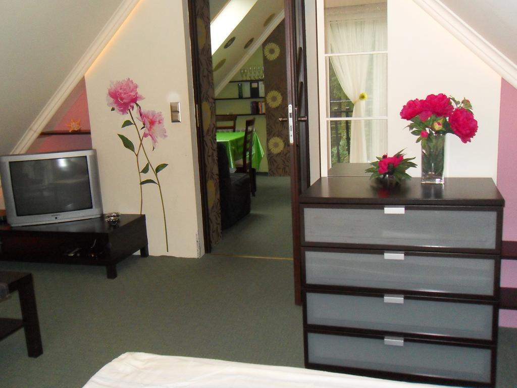 Apartamenty Grapa Szum Rzeki Parking Free 维斯拉 客房 照片