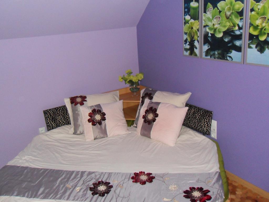Apartamenty Grapa Szum Rzeki Parking Free 维斯拉 客房 照片