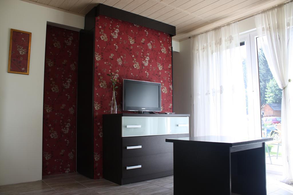 Apartamenty Grapa Szum Rzeki Parking Free 维斯拉 外观 照片