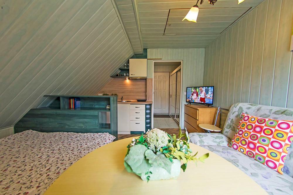 Apartamenty Grapa Szum Rzeki Parking Free 维斯拉 外观 照片