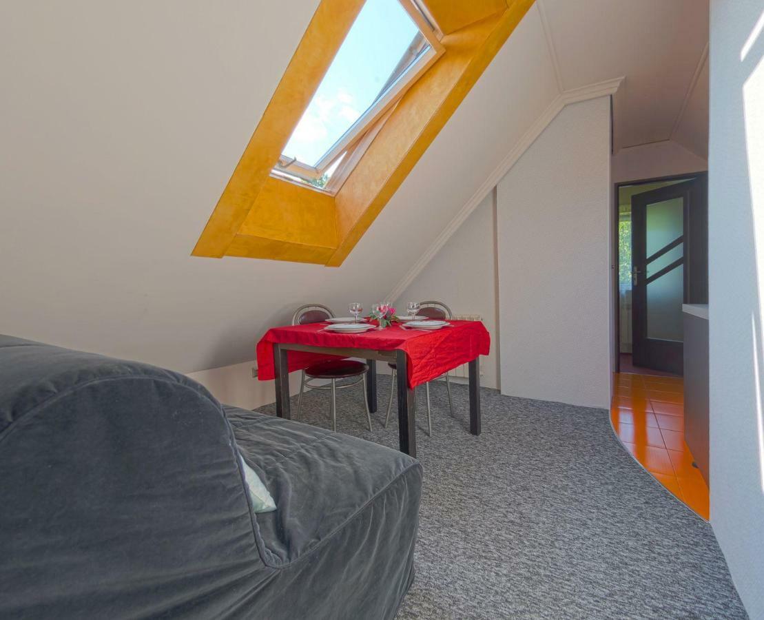 Apartamenty Grapa Szum Rzeki Parking Free 维斯拉 外观 照片