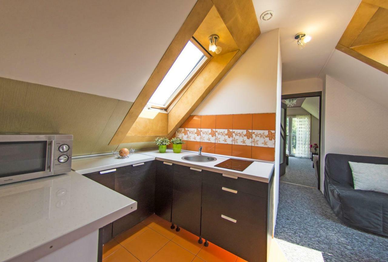 Apartamenty Grapa Szum Rzeki Parking Free 维斯拉 外观 照片