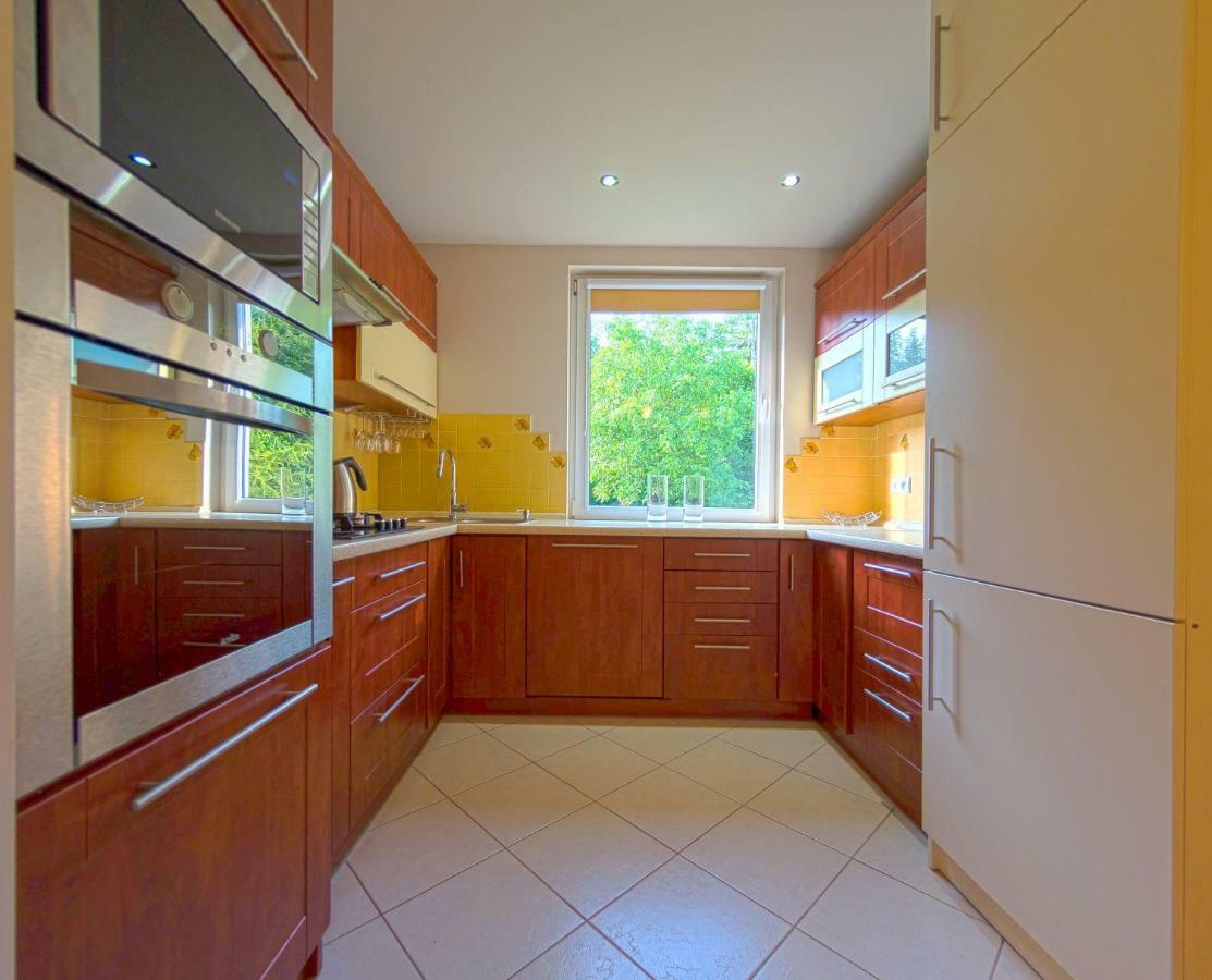 Apartamenty Grapa Szum Rzeki Parking Free 维斯拉 外观 照片