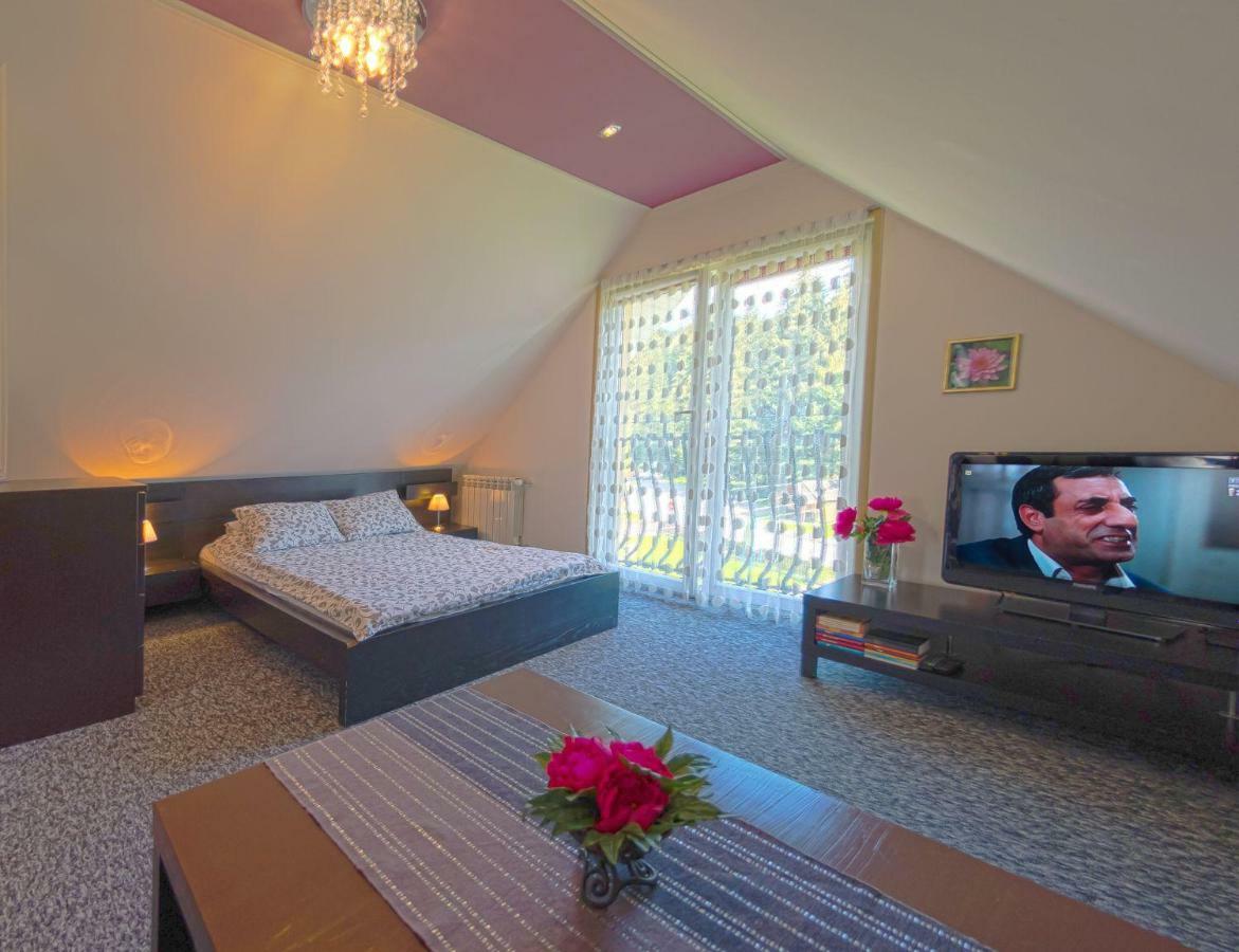 Apartamenty Grapa Szum Rzeki Parking Free 维斯拉 外观 照片