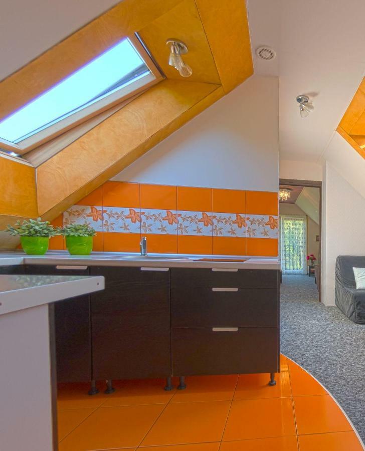 Apartamenty Grapa Szum Rzeki Parking Free 维斯拉 外观 照片